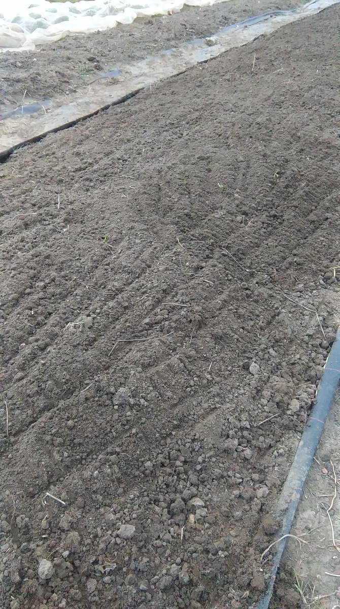 hintonharvest's tweet image. #Tilth #Spring