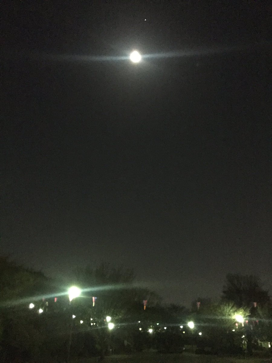 高田健志最強 Mario7274 Twitter