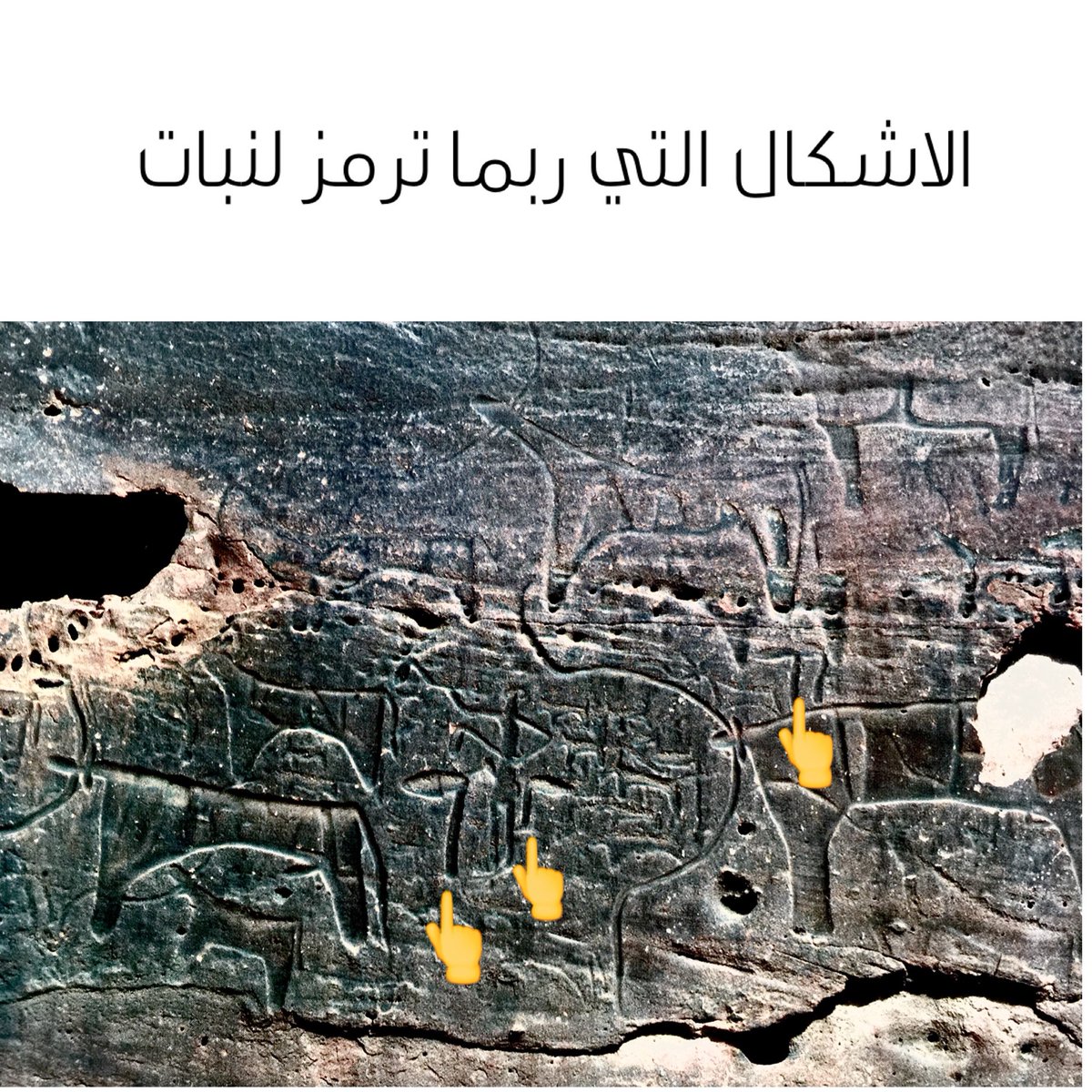 abbasaleissa's tweet photo. رسم صخري من منطقة المدينة المنورة. شرق الحناكية.
يعود للعصر الحجري الحديث.تاريخه من ٨٠٠٠-٤٠٠٠ق'م طراز رسوم جبة. https://t.co/n1d26W5Rgc