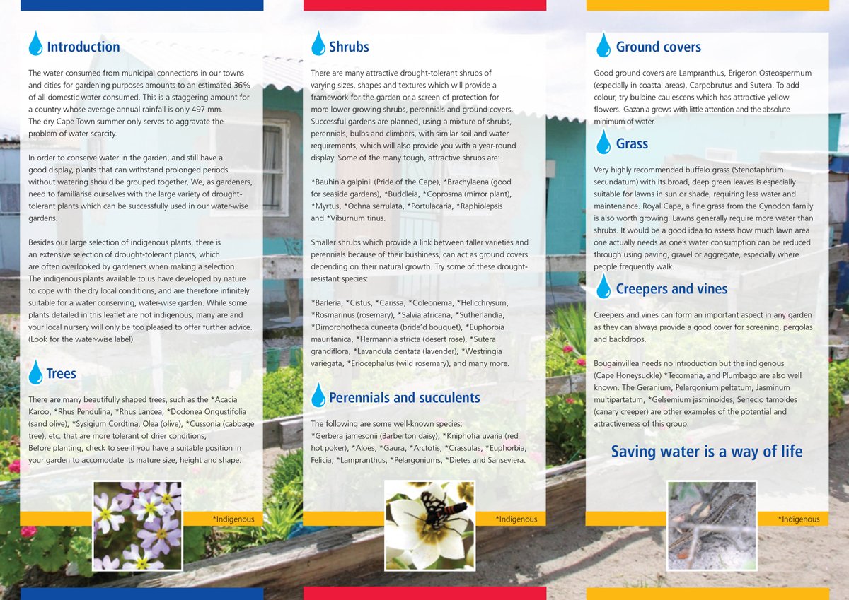 It's #WorldWaterDay today. Here are some easy tips to use water more wisely.