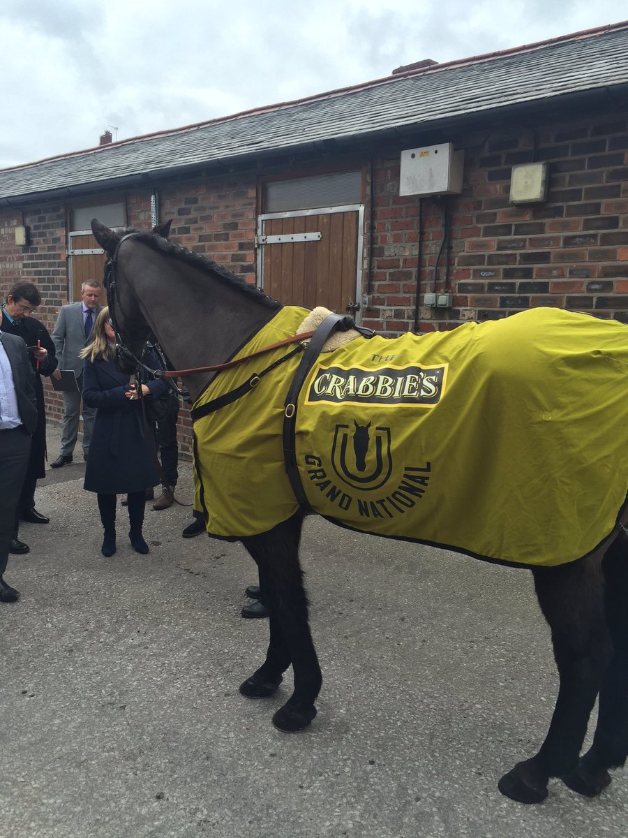 The beautiful #AmberleighHouse @AintreeRaces