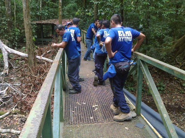 ProParques's tweet photo. Sea parte de nuestras brigadas de voluntariado y viva una experiencia diferentes en PN's corporativo &amp; individual https://t.co/ijYF1sXGeT
