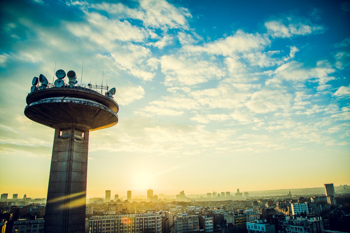 Stay strong, Brussel. You got the love.