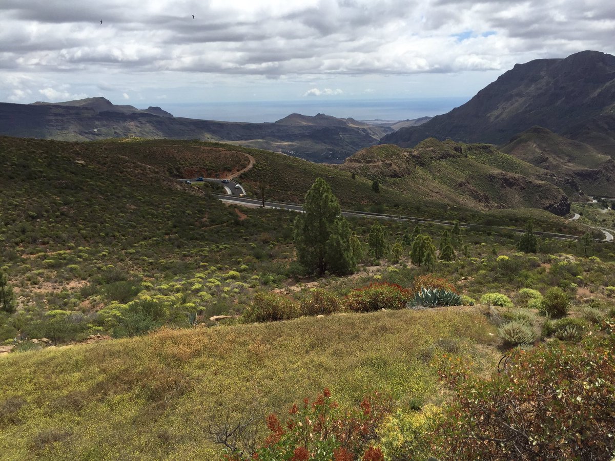 Top of the tour am Sonntag im Trainingscamp mit <a href="/DanAeschlimannn/">Dan Aeschlimann</a> in preparation for @IronmanZurich