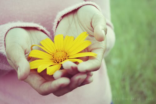 Bom dia... #Eusoubeta