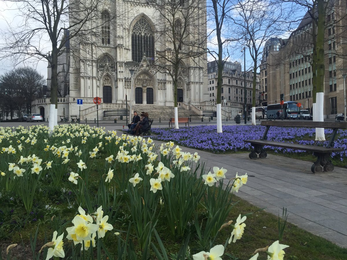 #TenirBon #Bruxelles