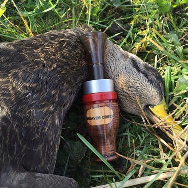BeavrCreekCalls tweet picture
