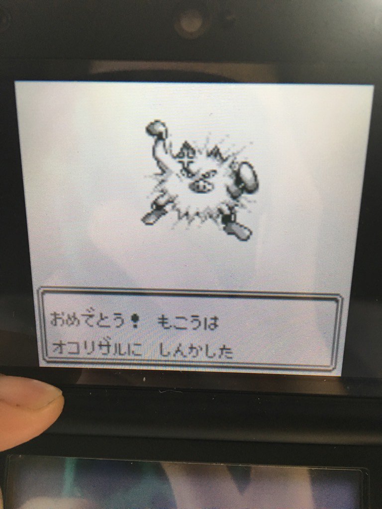 Twitter 上的 6 もこうがオコリザルになった T Co 75kitap6pg Twitter