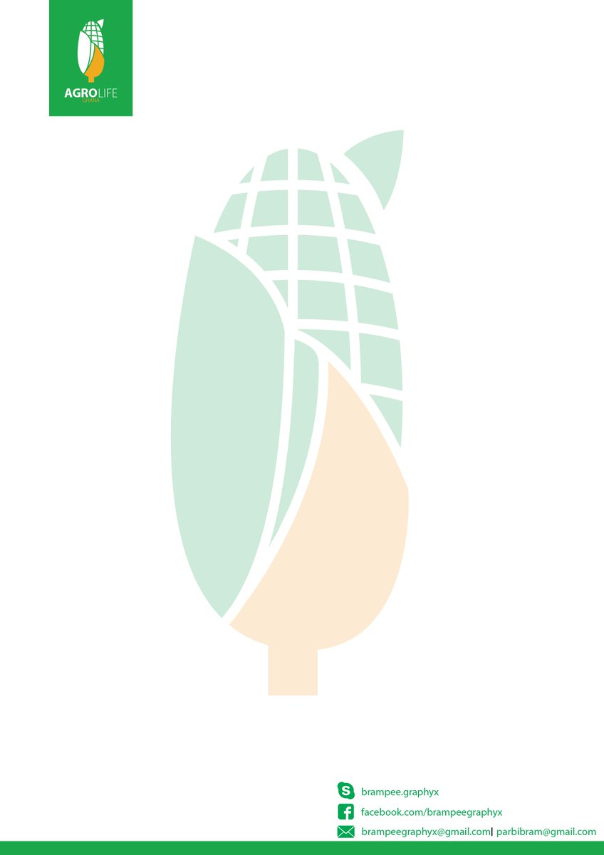 BGraphyx's tweet image. buy or order your simple and great letter heads from brampeegraphyx. great easy  and fast