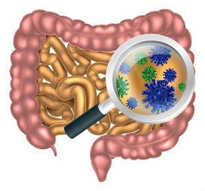 WyldeOnHealth's tweet photo. Great chatting with you @fox2deena Digestion and #poophealth is a convo more people need to have with their docs! https://t.co/NaAaMEJMqI