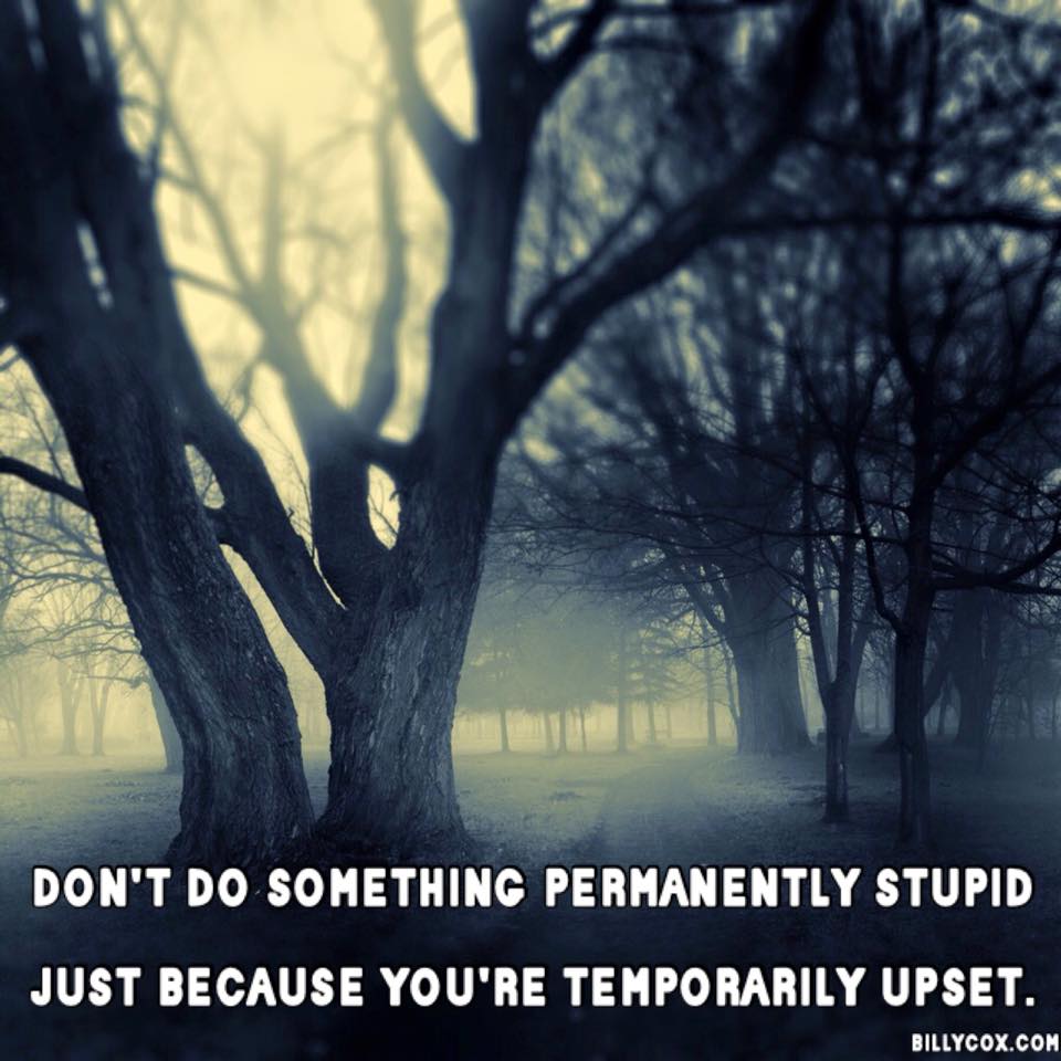 LessonMarketing's tweet image. 