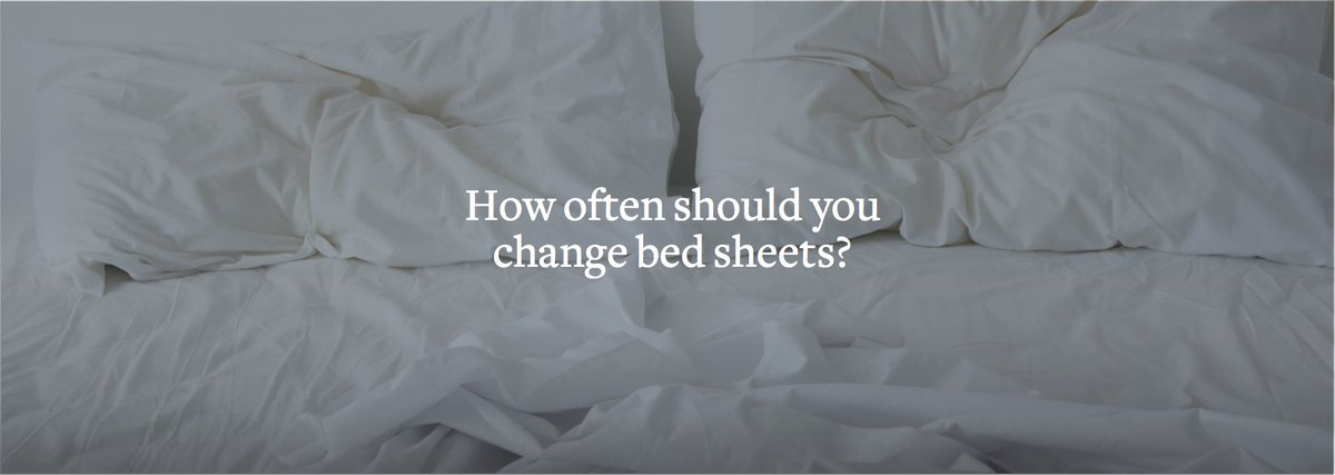 Addappio's tweet image. How often should you change your bed sheets? We answered it: blog.addapp.io/how-often-chan… #bed #sleep #sheets