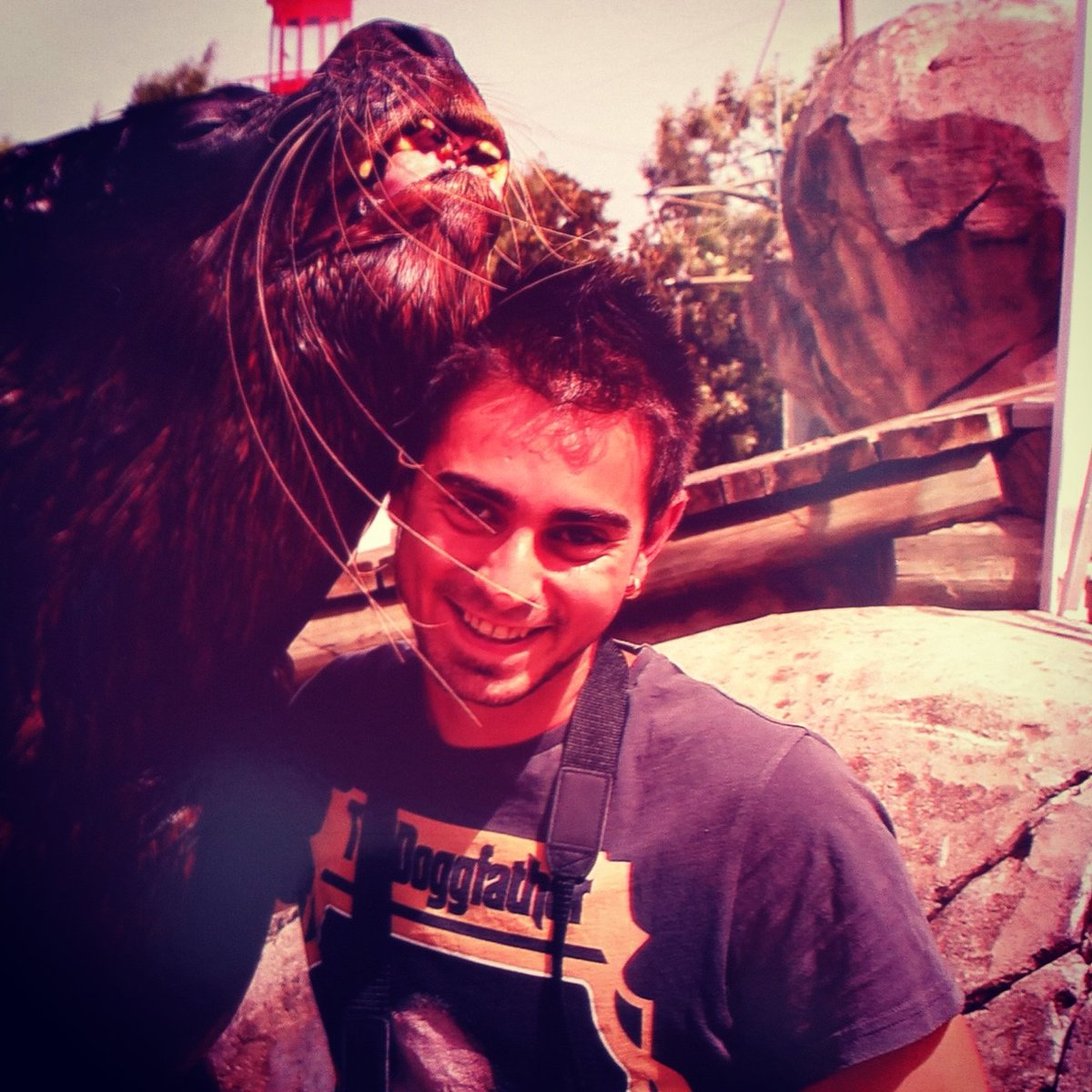 AlexWost tweet picture