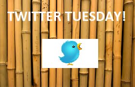 DJScharfenberg's tweet photo. TWITTER TUESDAY Party #boostmybusiness #twittertuesday https://t.co/dOlrcIFRTf https://t.co/rPgi2ShoIq