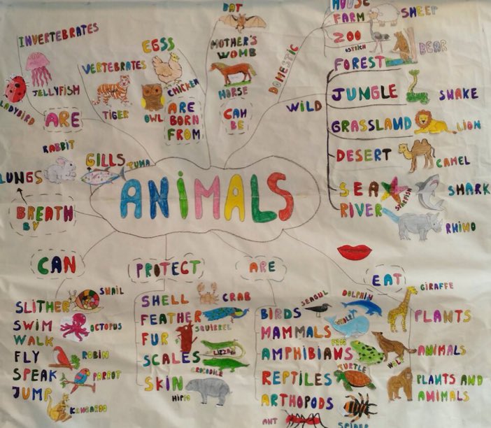DavidVeIez's tweet photo. #TheAnimalProject #Year2 @SanJoseSant
https://t.co/Xwox0rZOJS
🐌🐊🐳🐢🐞🐿🐟🐙🐜🐒🐍🦀🐬🐫🐘🐓
#ABP #PBL #VisibleThinking #CambioCEV https://t.co/vqFYbEn6ig