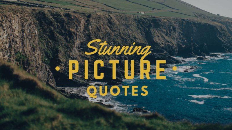 canva's tweet photo. 100 Stunning Picture Quotes That Will Supercharge Your Creativity by @techchicmom https://t.co/hVee2kJLVR https://t.co/cJvsMDNesz