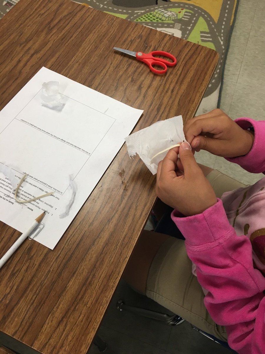 Sinclair 5th Grade tweet media