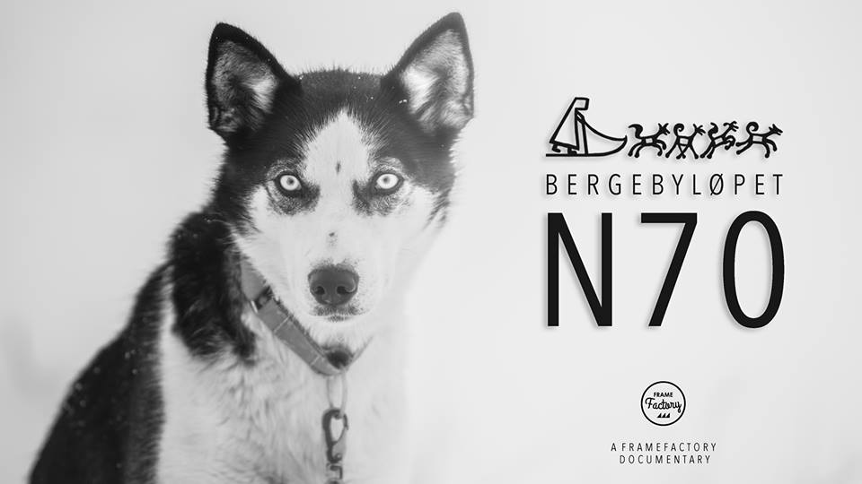 FFctory's tweet image. #BERGEBYLØPETN70 #DOCUMENTARY #SLEDDOG #FINNMARK #FF #FRAMEFACTORY