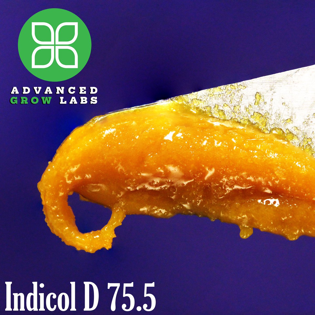 agl_ct's tweet photo. This #concentrate has a nice #spicy #pine scent. Indicol D 75.5 has a smooth malleable #texture. #AGL #ctmmp https://t.co/zj1KCHSdLy