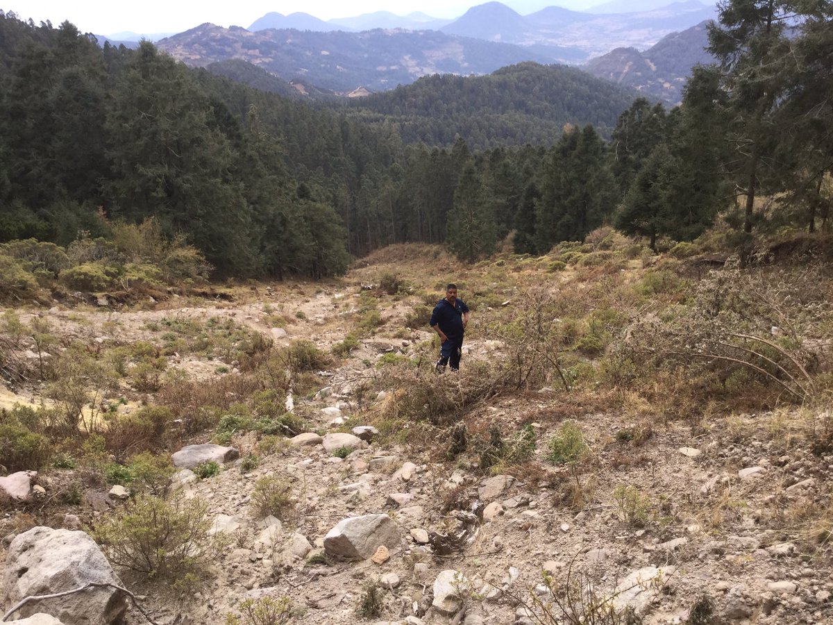 Homerogomez_g's tweet photo. Más de 100 mil árboles perdidos en #ReservaMonarca en 6 años #Aire #deslaves #Plagas y la #Conanp #Semarnat nada https://t.co/JixKRGkGNB