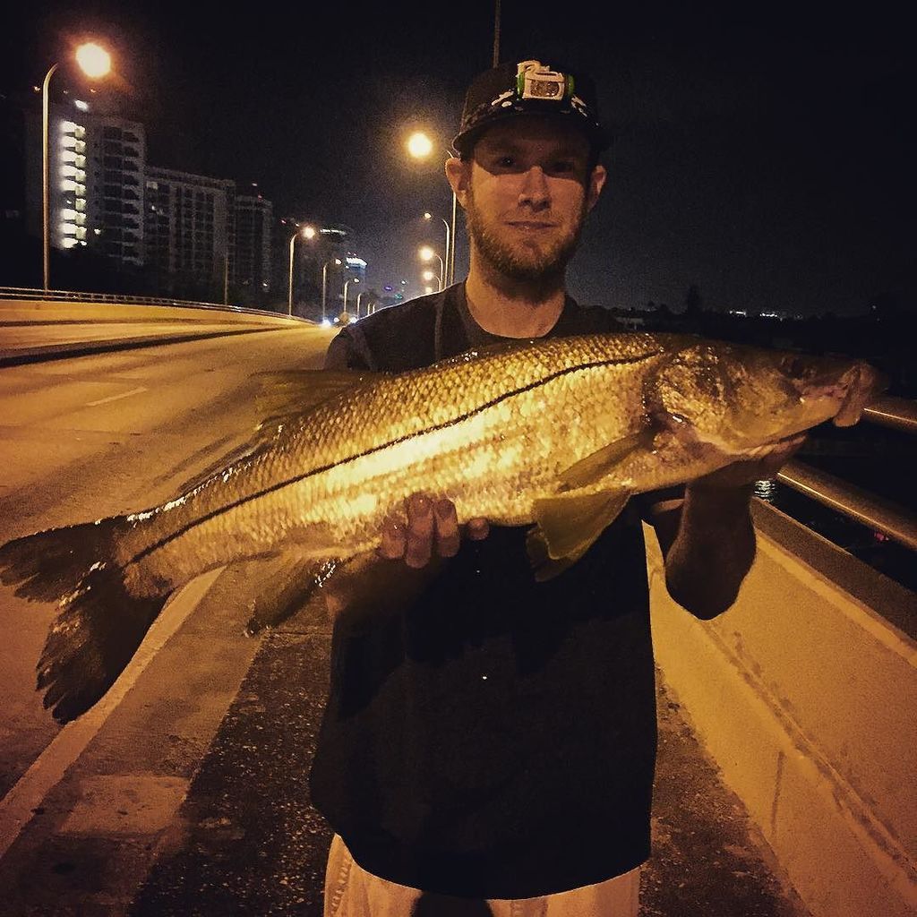 AthensInsta's tweet photo. Got that seaturkey #toosoretoflip #staal #vs250 #soapfish #snook by austingray21 https://t.co/FE2oeXUMfV https://t.co/gU6ztAJj7w