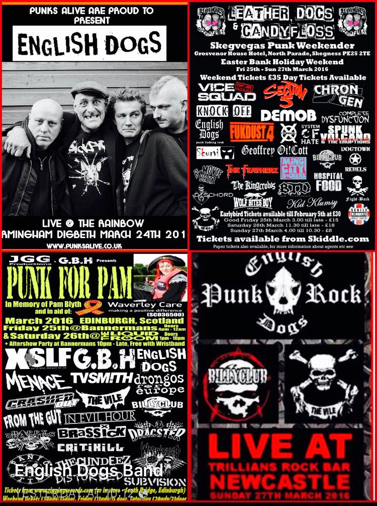 EnglishDogs PunkRock tweet media