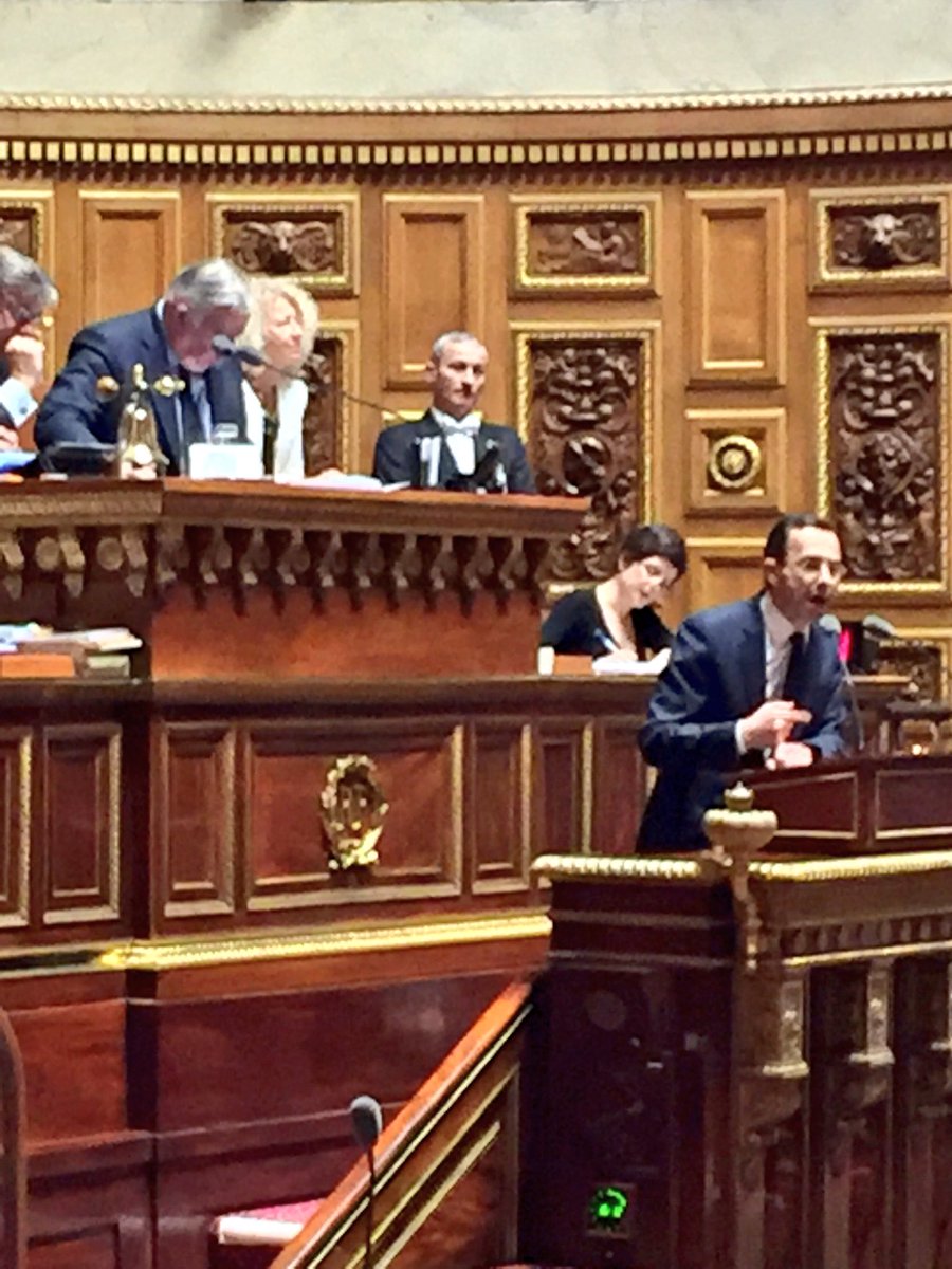 C_Frassa's tweet photo. #reformeconstitution. Brillante intervention de @BrunoRetailleau. La #réforme est #adoptée par 176 voix contre 161 https://t.co/SlOmnUsvb1
