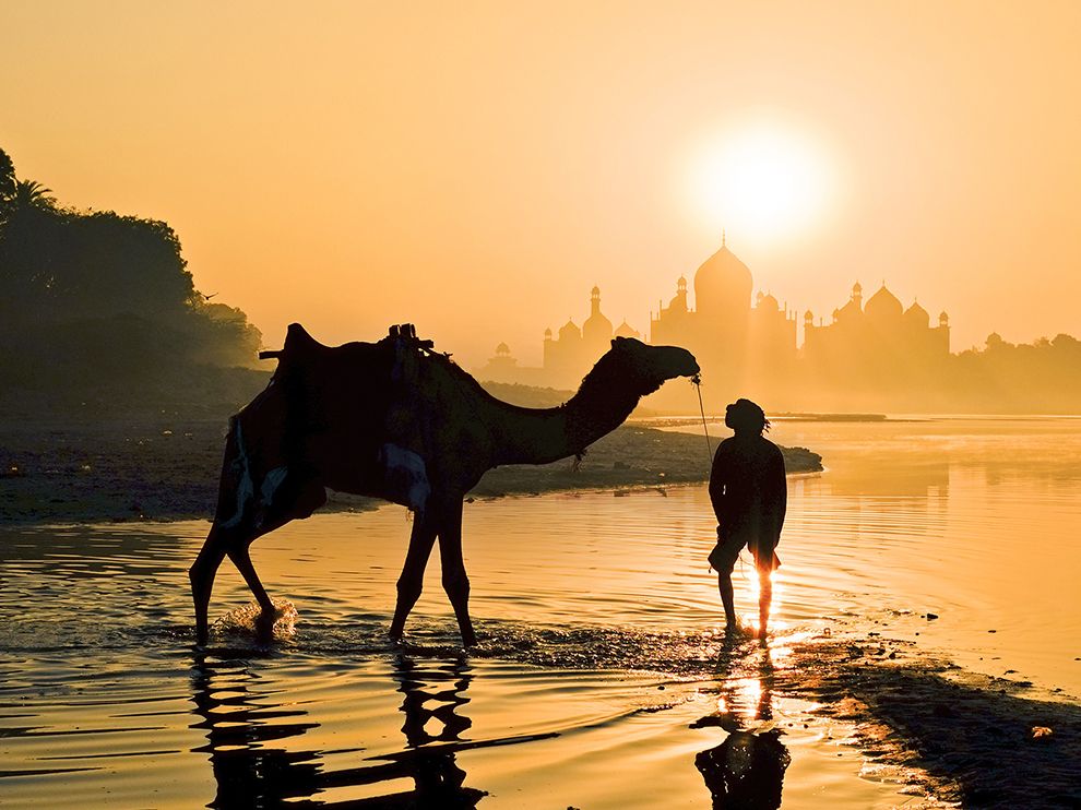 Morning's Golden Glow
photography.nationalgeographic.com/photo-of-the-d…