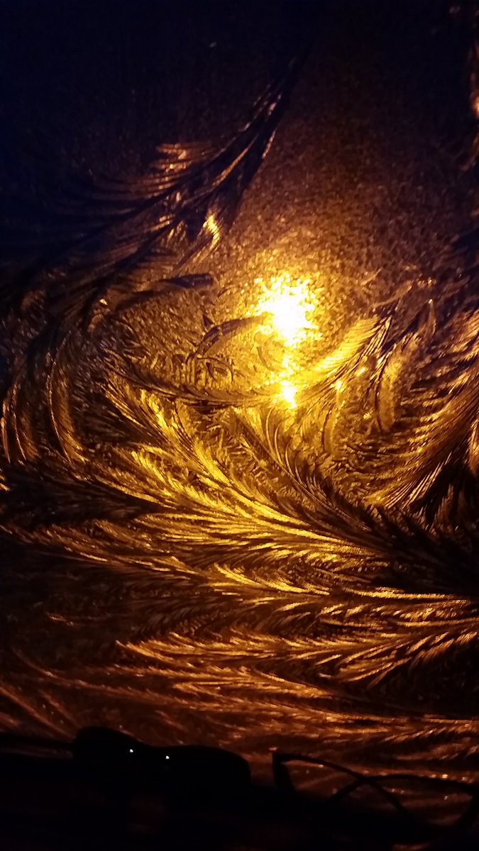 Stevee5's tweet image. Picture I took of ice patterns on my windscreen #icepatterns #frosty #feathers