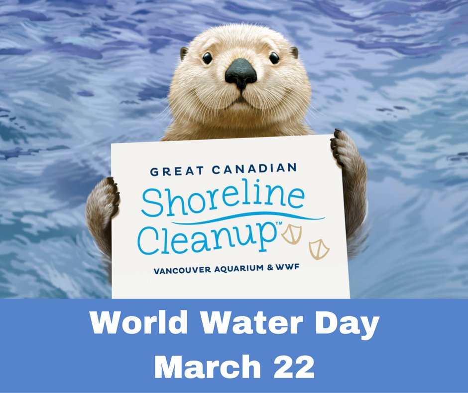 cleanshorelines's tweet photo. We're keeping waters healthy from coast to coast to coast. What's your favourite Canadian shoreline? #WorldWaterDay https://t.co/goV98rAiV4