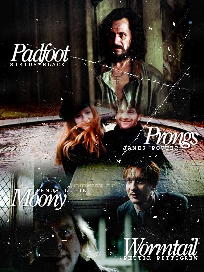 Harry Potter World Padfoot Sirius Black Prongs James Potter Moony Remus Lupin And Wormtail Peter Pettigrew T Co Lmsgmwrzil Twitter