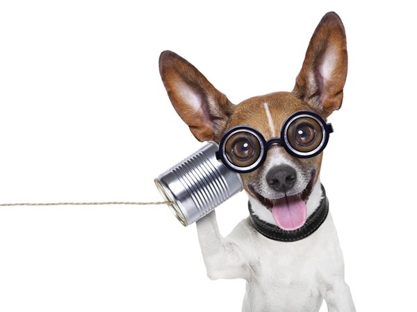 govirtuali's tweet photo. What Makes a Good Manager: The Case for Listening and Assessing Skills https://t.co/SE7AFnSarr via @atd #Leadership https://t.co/xVJb1WbNhQ