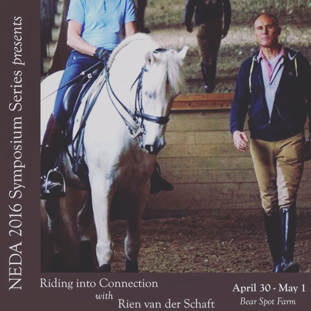NEDADressage's tweet photo. Apply now for the 1st 2016 NEDA Symposium, 4/30-5/1. https://t.co/WXpC7UWGiq #nedadressage #dressage #equine https://t.co/PKtdnNKSvy