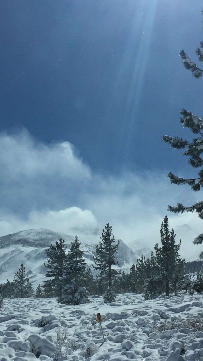 imarleneking's tweet image. Prayers for Belgium and all humanity. #PeaceOnEarth