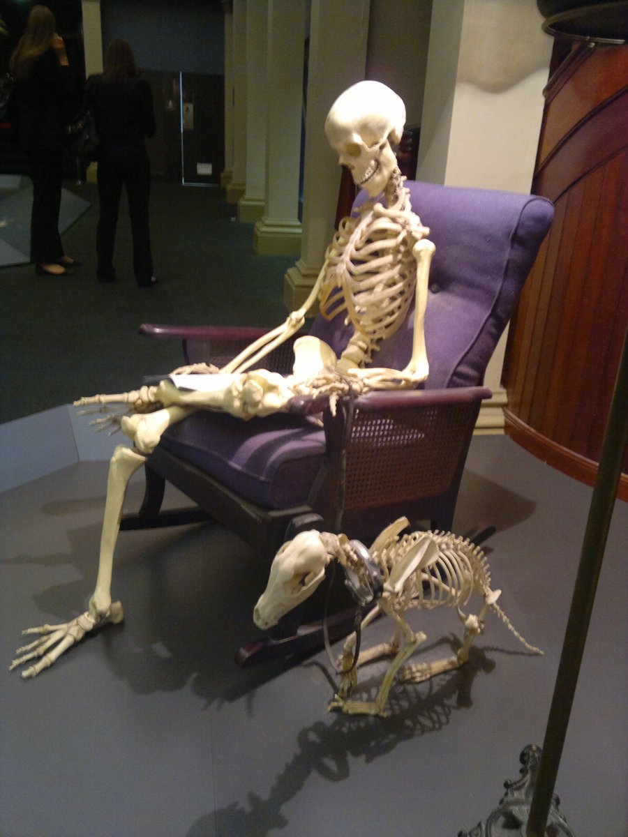NotMikeW's tweet image. Waiting for Automatron to load in the PSN store like
#AutomatronDown
#Fallout4automatron
#Automatron