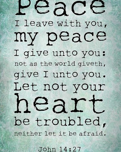 Millimind02 tweet media