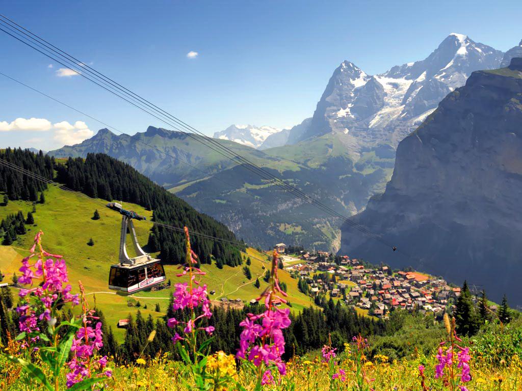 Swiss Alps / Alpes Suizos
#switzerland #schweiz #suisse #svizzera #suiza #alps #alpes #alpen #alpi #landscape