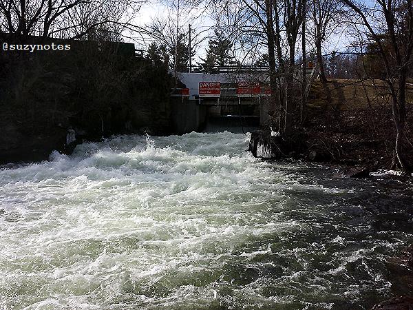 suzynotes's tweet photo. #Water go! :) Davis Dam #DavisLock Happy #WorldWaterDay @ktownnow @tegan4618 @scubadiver5 @SeawayNNY @joetree415 https://t.co/KQCSef32EQ