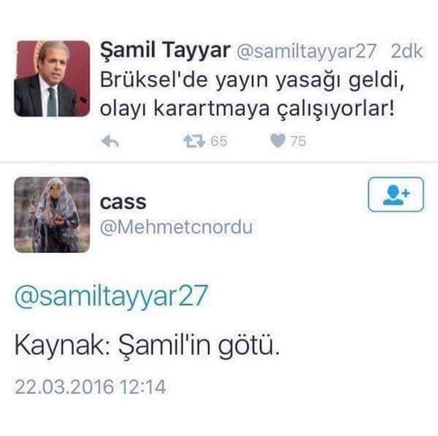Şamil