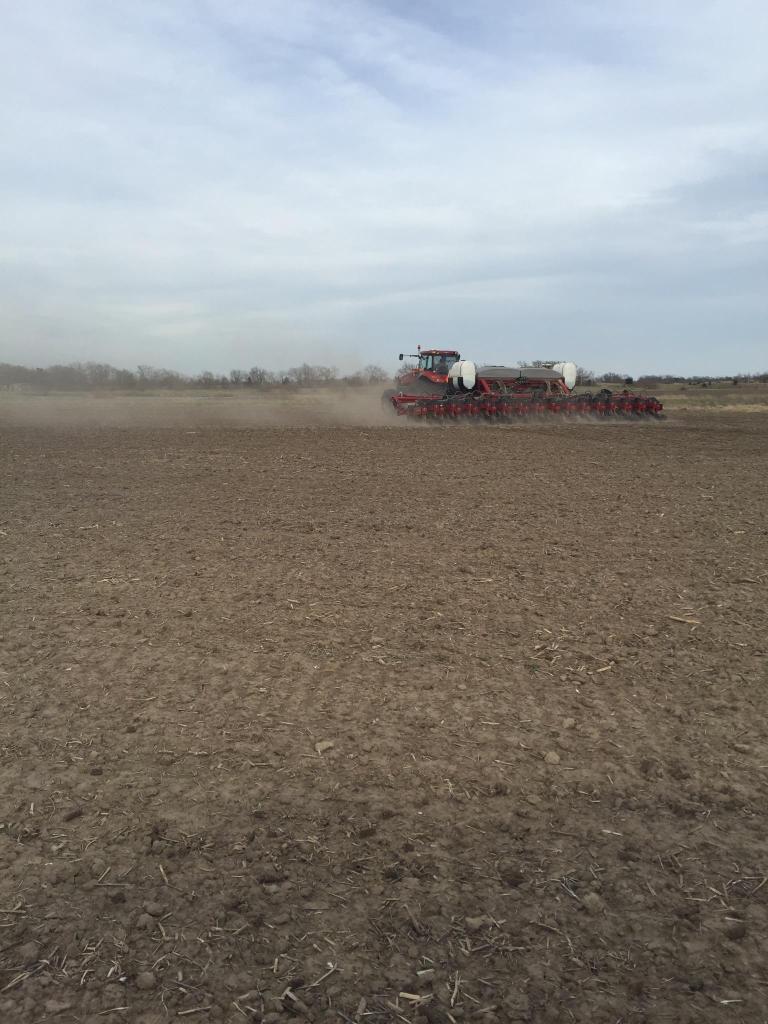 HealeyPhil's tweet photo. Keep putting it in the ground. #plant16 #kansasfarm https://t.co/8YvA5A978e