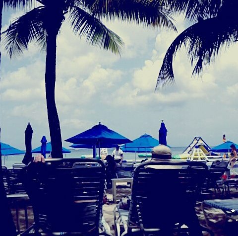 ChochePrianoo's tweet photo. Cozumel-MΓ©xico. #Disney2015. Volvamosπππππ https://t.co/9ruuTLrgTL