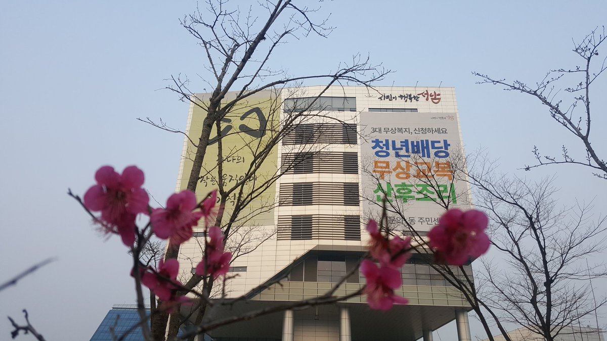 선일(비전성남) tweet media
