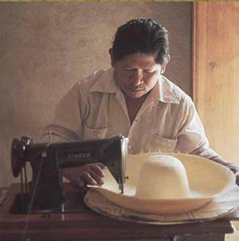 La lengua mixteca se deriva del tronco otomangue; junto con el cuicateco y el triqui forma la familia mixteca.