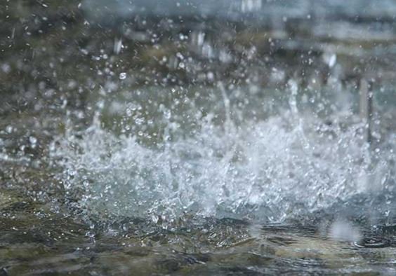 H2ODocumental's tweet photo. Te compartimos una nota del #DíaMundialdelAgua que @Excelsior realizó. https://t.co/kRcB4GLtBk https://t.co/2qj6UMAe7y