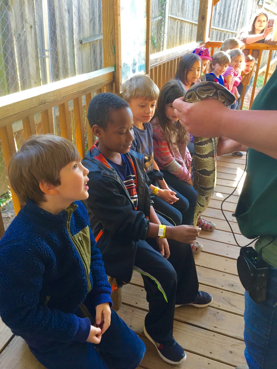 kreedmpe's tweet photo. We had a great trip to the North Georgia Zoo today! #PBL @MPE_Mustangs @StefiWickers41 @McConnell_MPE https://t.co/b6pRSwFsUf