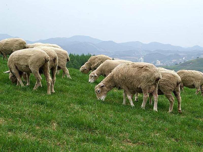 EntreatingFavor's tweet image. The Myth of the Self-Feeder bit.ly/1o4DRQL // by @NatePickowicz // #selffeeders #seekersensitive