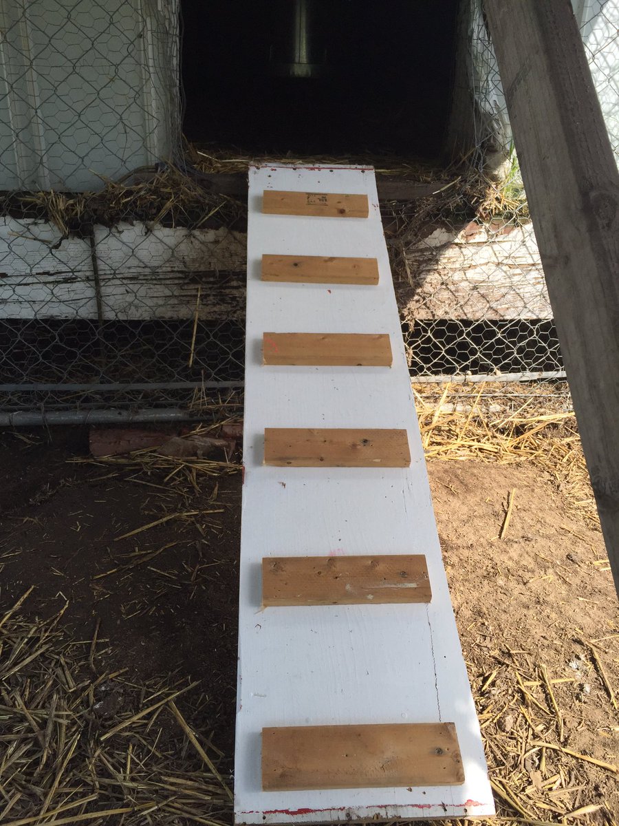 LPFarmstead's tweet photo. Chicken coop renovation for the chicks. They'll be moving in about a week or so. #chickenramp #recycledwood https://t.co/hUDSfyVZ7A