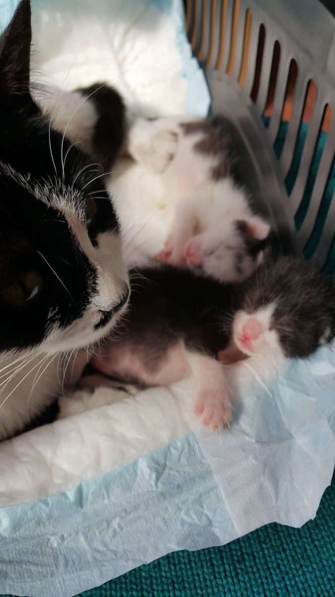 Canım bebiklerim 💕💕