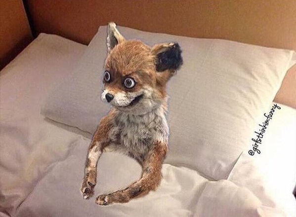 twins_n_wins's tweet photo. When your alarm go off and you're deciding whether to go to class or drop out. https://t.co/6ZGFgWhpCL