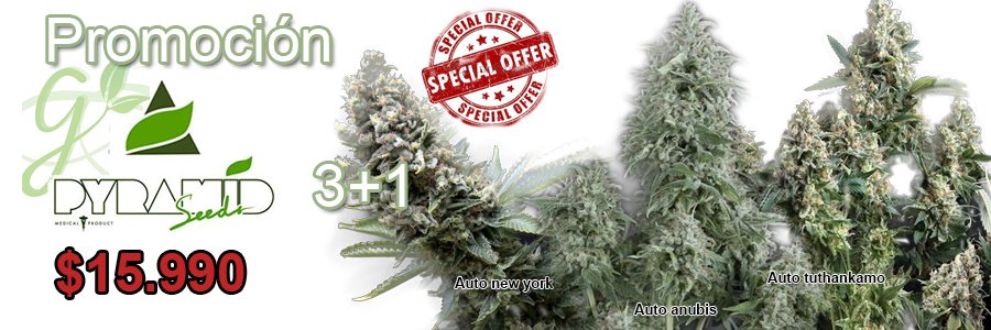 Ven x tus semillas favoritas y muchos más en 2do piso dl #Carrusel local 36 #Promocion #Oferton #Autocultiva #temuco